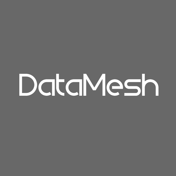 DataMesh Grey White Logo | DataMesh